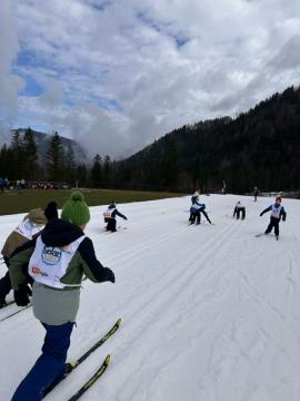 Solar na smuci, marec 2024, foto B J (10)